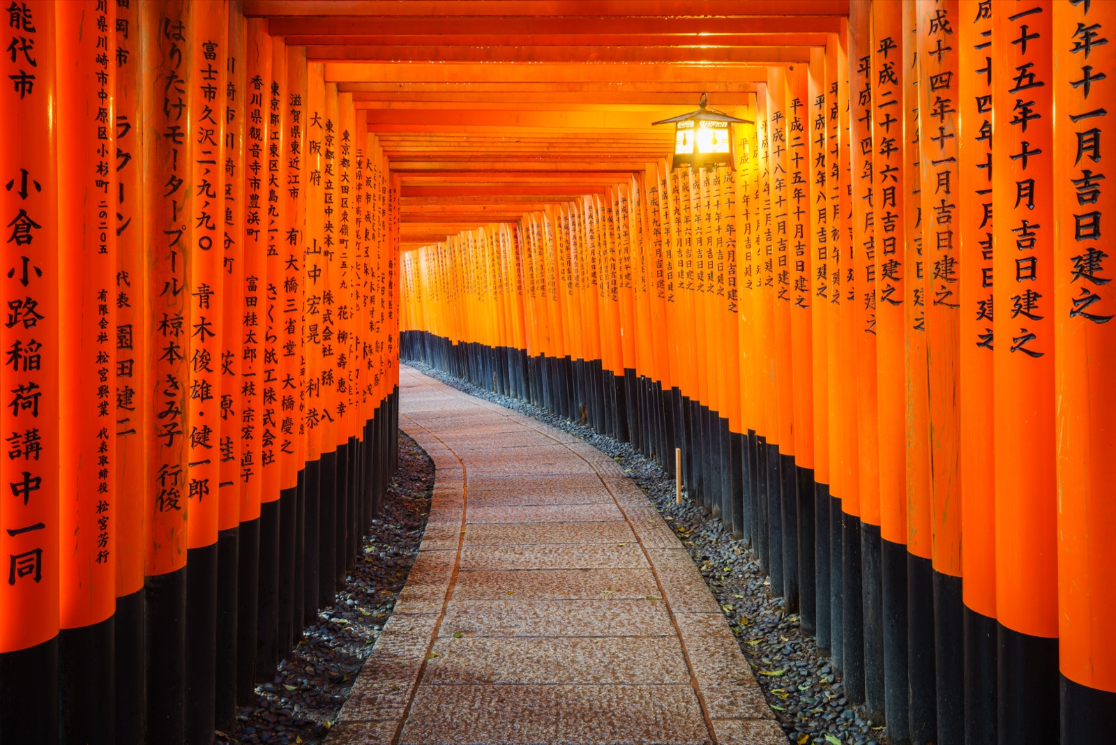 Fushimi Inari dawn → Arashiyama bamboo grove → Kinkaku-ji — Wanvela