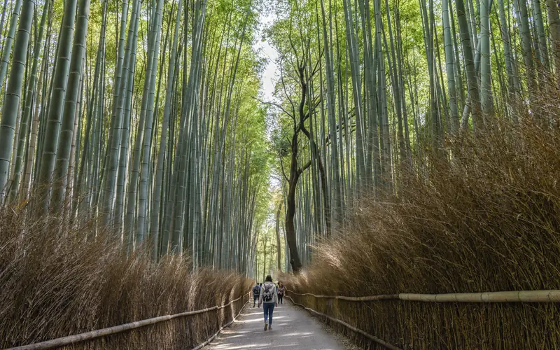 Hidden Kyoto neighborhoods — Wanvela Journal